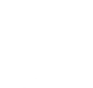 logo extreme cleaning white